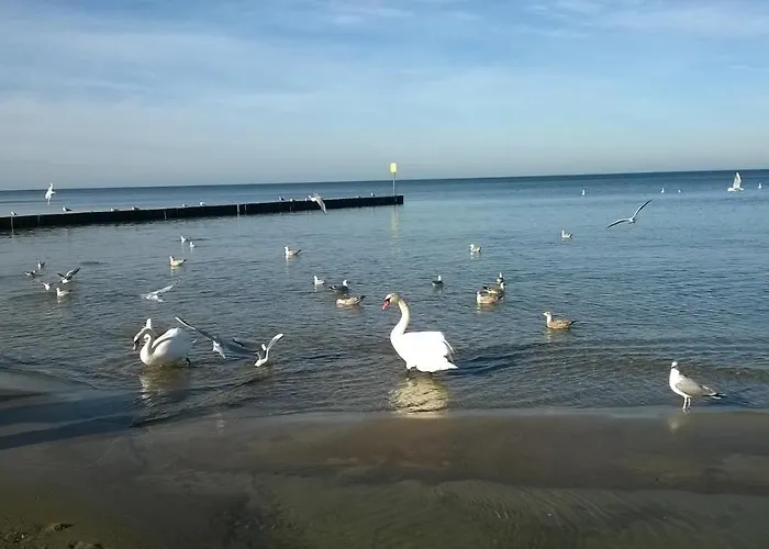 W Kolobrzegu Blisko Plazy, Parku I Promenady 아파트 코워브제크