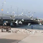 W Kołobrzegu Blisko Plaży, Parku I Promenady * Kołobrzeg