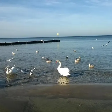 W Kolobrzegu Blisko Plazy, Parku I Promenady شقة كولوبرزيغ