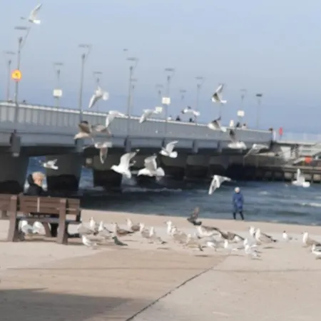 W Kolobrzegu Blisko Plazy, Parku I Promenady * كولوبرزيغ
